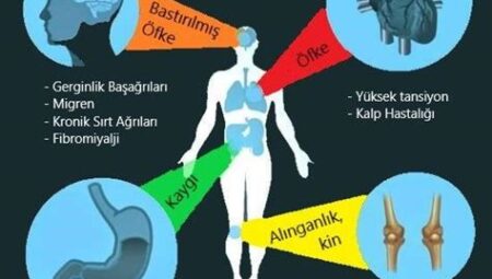 Spor ve Genel Esenlik: Egzersizin Bedensel, Ruhsal ve Sosyal Sağlık Üzerindeki Bütünsel Etkileri