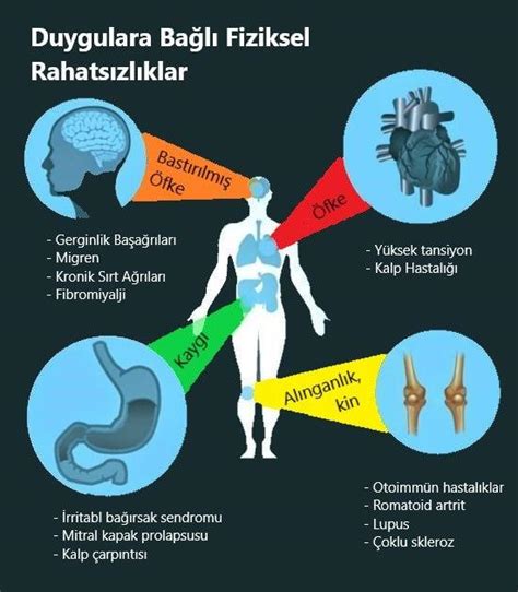 Spor ve Genel Esenlik: Egzersizin Bedensel, Ruhsal ve Sosyal Sağlık Üzerindeki Bütünsel Etkileri